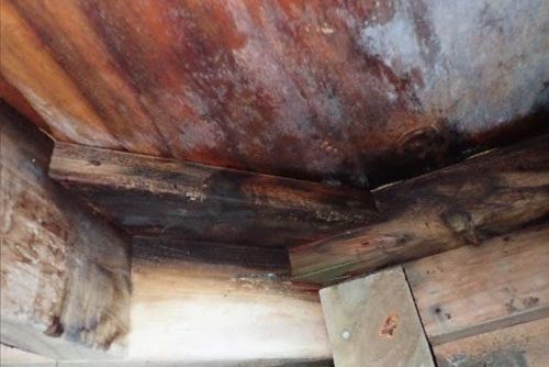 What is a Weathertightness survey?