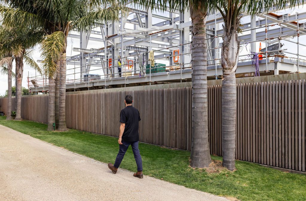 What skills does a Building Surveyor have?