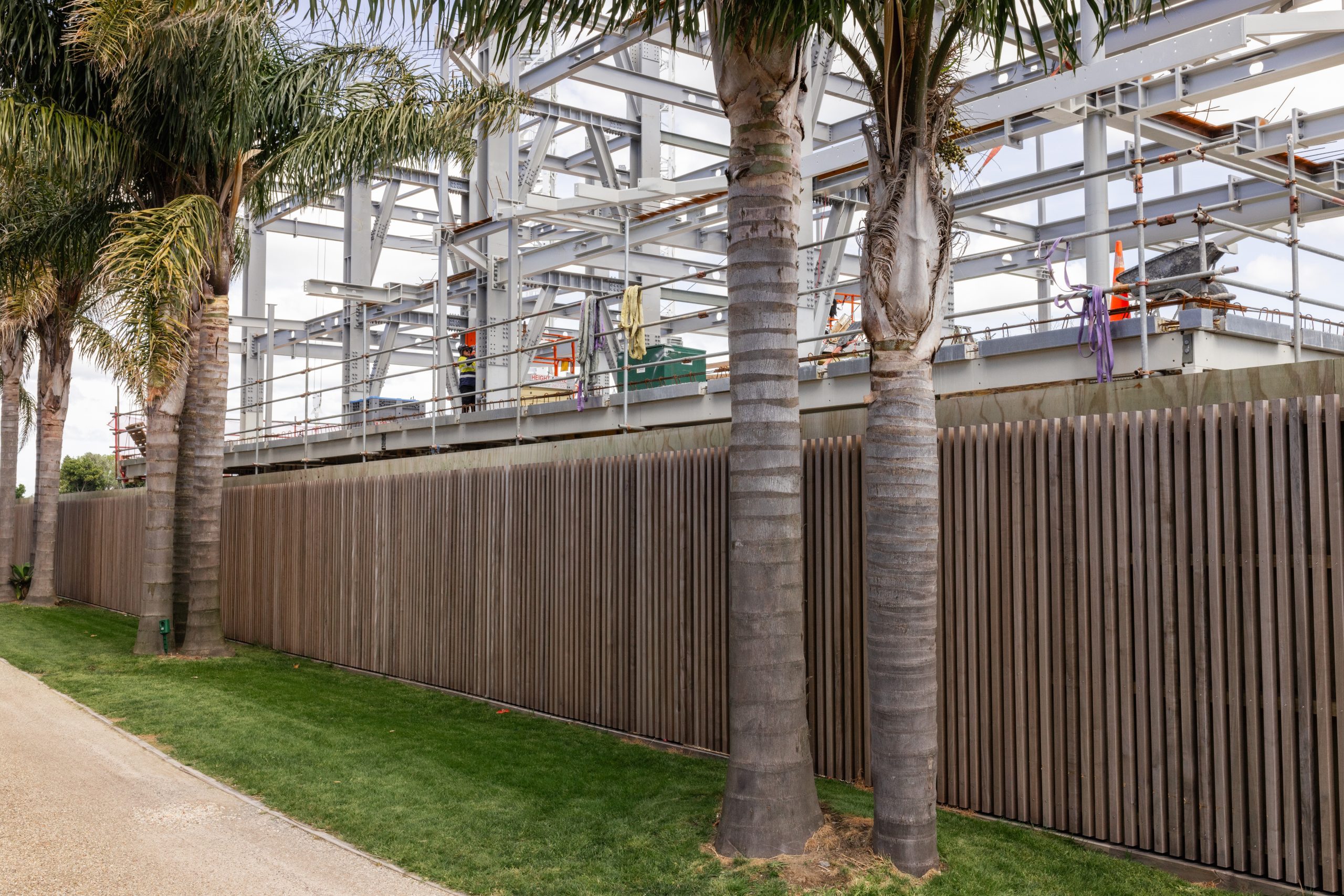 Construction site with steel framework visible behind a wooden fence. Tall palm trees line the grassy foreground, conveying a sense of growth amidst progress.